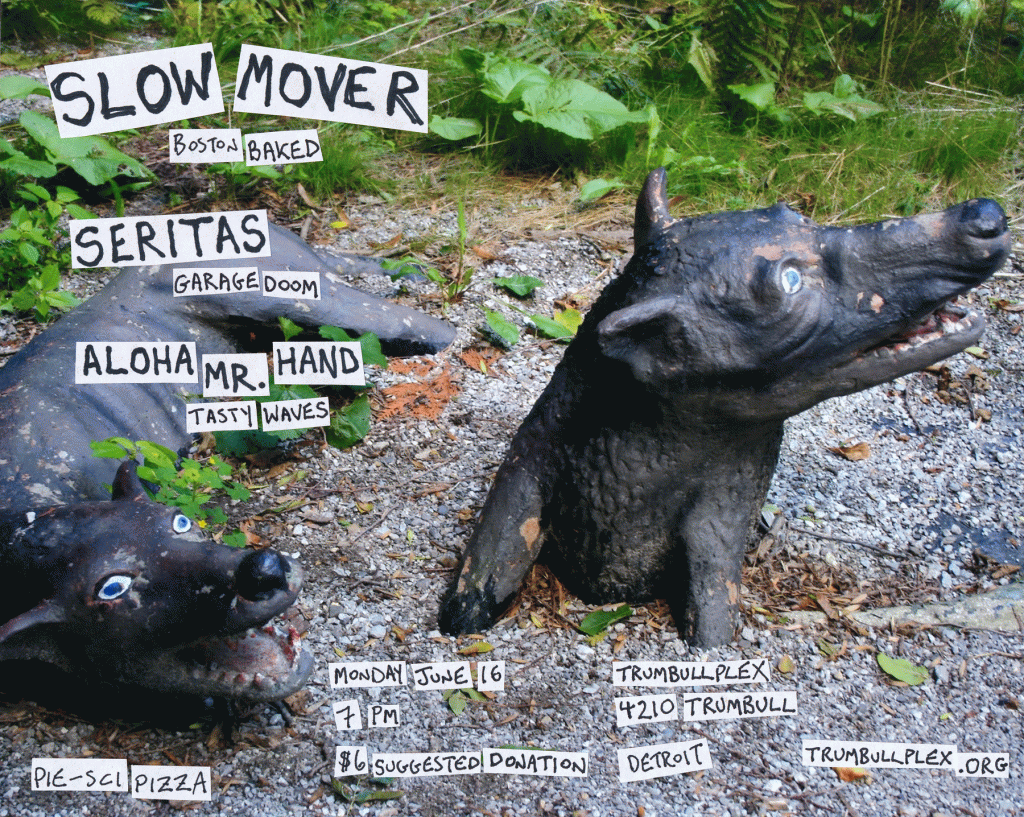 slow_mover_flyer